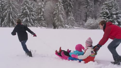 Kids Playing and Pushing Sled in Winter Snow Activity