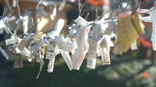 Fortune Teller Paper Strip (Omikuji) in Japan