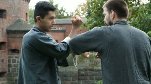 Kung fu masters practice martial arts self defense techniques in ancient China castle