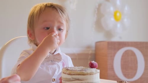 A Boy Celebrates His Birthday with Cake Showing Pure Childhood Joy