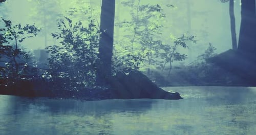 Serene Forest Reflection on a Tranquil Water Surface During Misty Morning