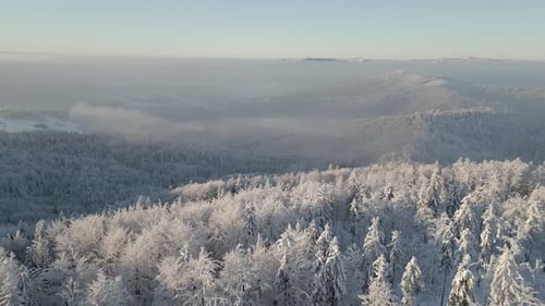 Beautiful Foggy Mountain Landscape View Above Snowcovered Forest in Winter