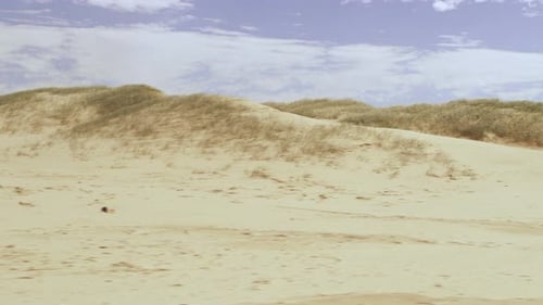 Driving by Dunes on Beach with Open Sky in the Background In