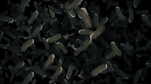 Hintergrund mikroskopischer infektiöser Bakterienzellen