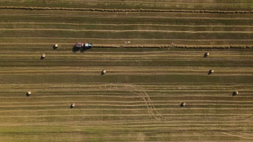 Aerial Top Down View on the Wheat Field with Haystacks and Tractor at Work Drone is Flying Down