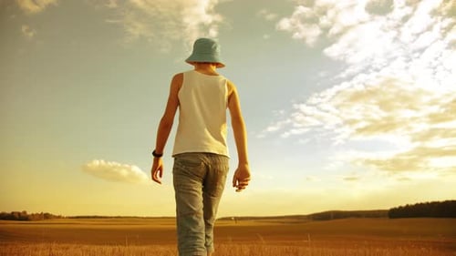 Child Reaches Skyward in Golden Field at Sunset