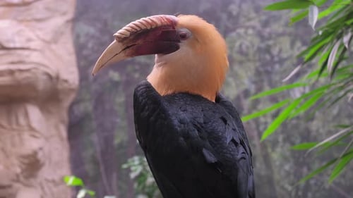 A Bird with a Long Beak is Standing in Front of a Statue