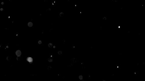 Abstract Particles Swirling on Black Background