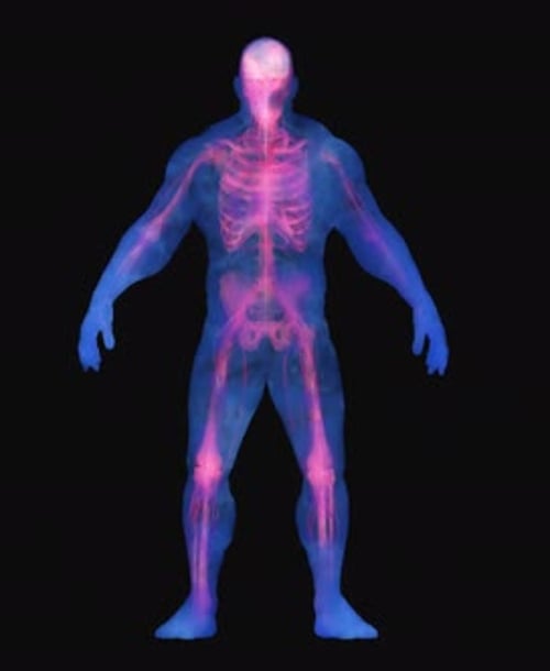 3D Rotating Human Body Anatomy Scan Animation