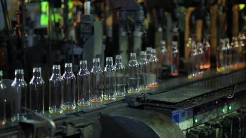 Glass Bottles Moving on a Production Line