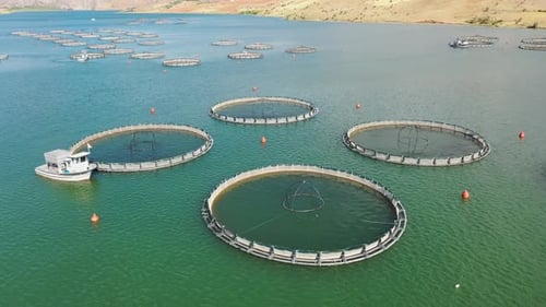Aerial View Of Fish Ponds In The Dam Lake And Boat In The Lake 2