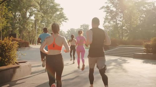 Multiracial People Run in Brightly Lit Park in Morning