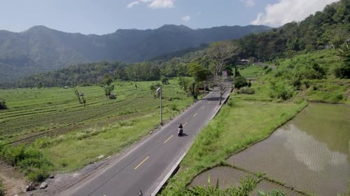 A road in Bali with a motorbike, surrounded with beautiful rice fields, paddy fields and beautiful n
