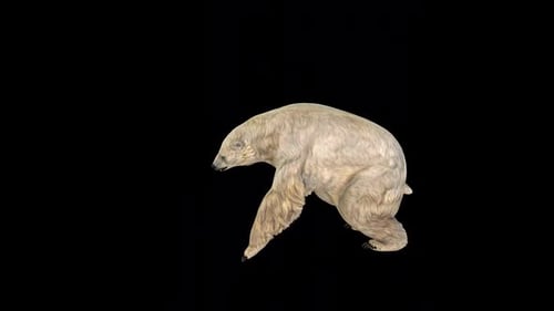 Polar Bear Attack 5