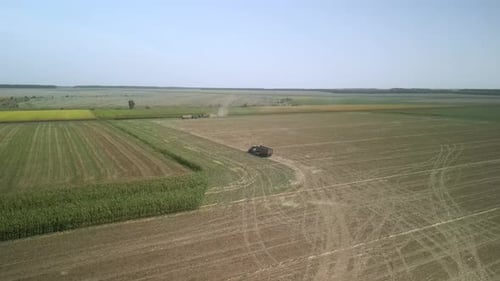 Corn silage harvesting process. Forage Harvester on the Corn Field. Combine harvesting corn
