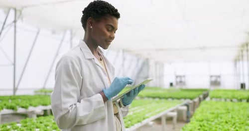 Young Adult Uses Tablet in Greenhouse Lab