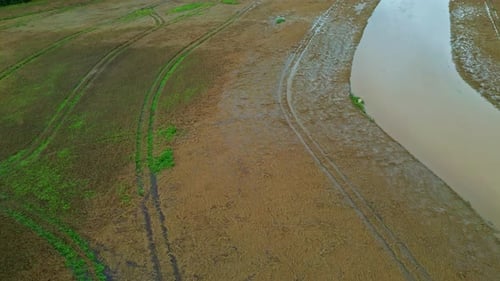 Aerial drone shot of a swamp with a stream of muddy water around it