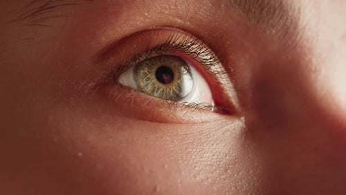 Junge grünäugige Frau ohne Make-up im Gesicht Nahaufnahme Makro-Schönheits-Hautpflege-Make-up-Routine