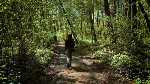 Woman Walking Uphill on Narrow Trail Through Sunlit Forest Female Strolling Between Bright Green