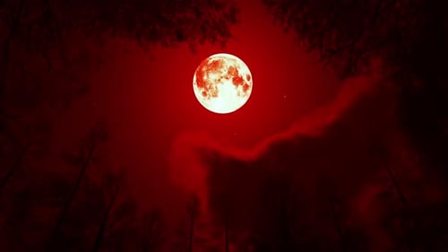 Blood Moon Night In The Dark Forest