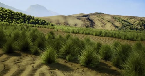 Amplio paisaje con pastos densos bajo un cielo azul claro