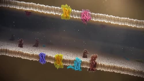 Detailed cellular membrane structure with colorful protein molecules