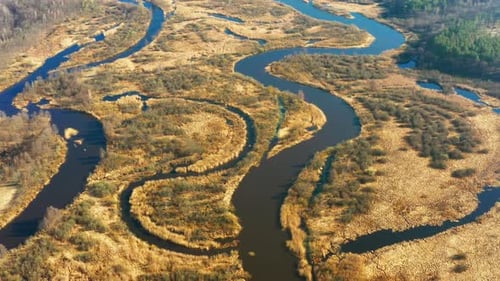 Aerial View Curved River In Early Spring Landscape River Bends and Dry Grass Landscape Top View Of