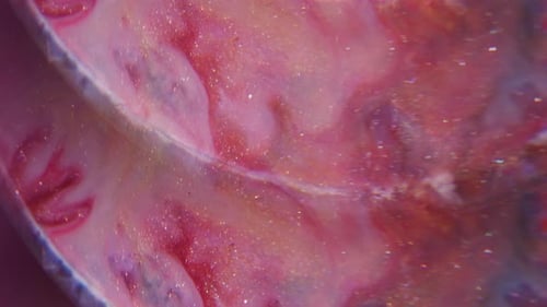 Abstract pink and red liquid with glittery gold