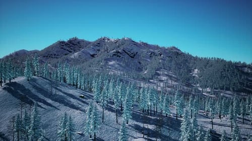 Aerial View of Snow-Covered Winter Mountain Forest Landscape