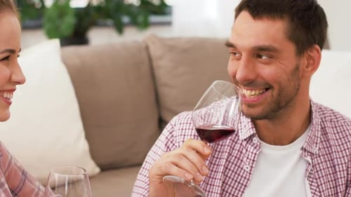 Smiling couple drinking red wine at home