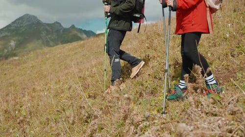 Couple of Hikers Man and Woman Go Down Mountain Slope with Nordic Sticks