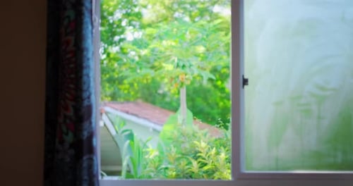 Vue sur le jardin tropical à travers une fenêtre ouverte