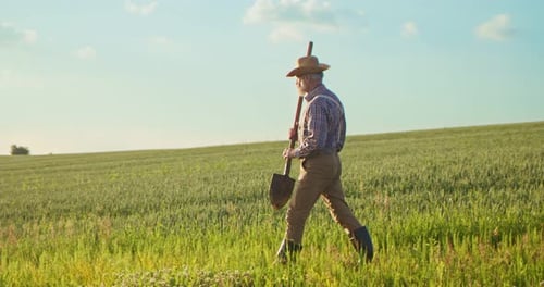 Senior Farmer Walks Through Field with Shovel