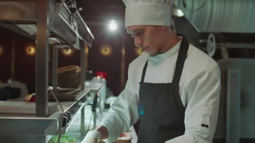 Chef Cooking Meal in Open Restaurant Kitchen