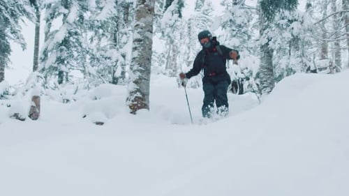 close up view of a man doing a slow-motion jump on skis in deep powder snow in a tall pine forest