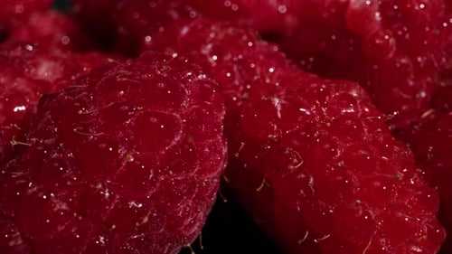 A Stunning CloseUp of Fresh Raspberries Showcasing Their Vibrant Red Color and Texture