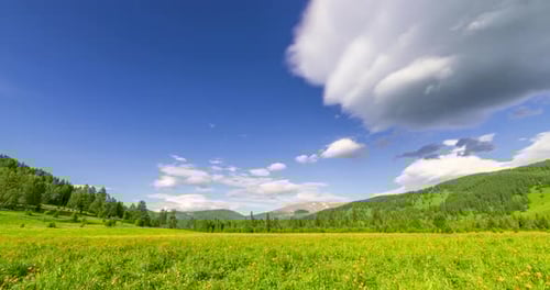 Mountain Meadow Timelapse at the Summer or Autumn Time