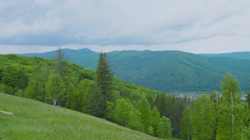 Panoramasicht auf die Berge, Wald, Tal im Sommer.