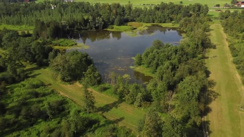 Reserva natural, foto aérea de drone, lagoa pantanosa cercada por árvores florestais, Áustria