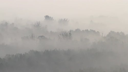 Aerial View, Mysterious Atmosphere, Hazy Weather, Morning Moody Mist