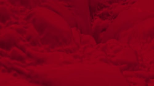 Dynamic Dark Red Organic Fluid Waves Background