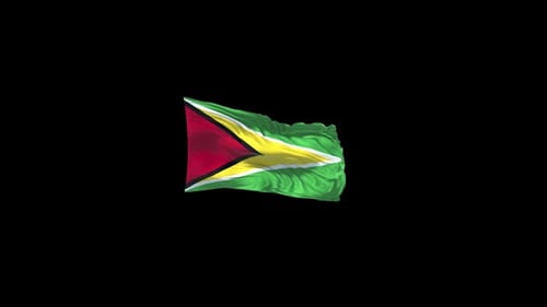 Guyana Flag with Alpha Channel