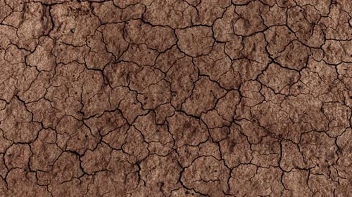 Dry and Cracked Earth Texture