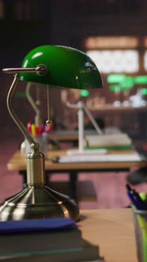 Vertical Video Old Fashioned Library Space with Historic Charm and Beautiful Decorations