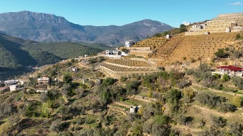 Houses among Greenery in a Rural Mountain Landscape