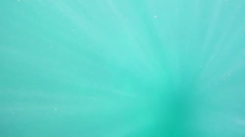 Organic light beams underwater footage, naturally beautiful