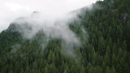 Aerial View of Beautiful Mountain Landscape Fog Rises Over the Mountain Slopes