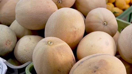 Melons et oranges frais exposés dans un marché animé