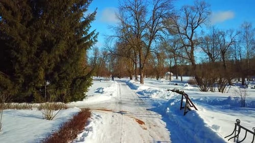 Winter, Nature, February 2022 48