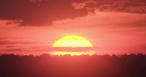 Majestic Sunset with Trees Silhouette